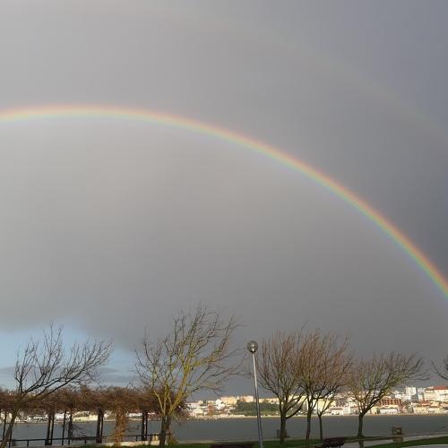 Photo #4534624