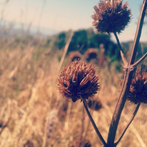 Photo #4535572