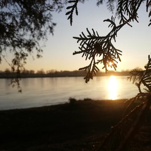 Photo #4535719