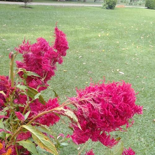 Photo #4536091