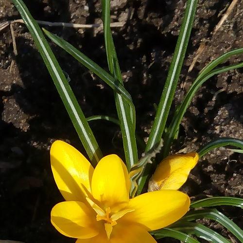 Photo #4536092