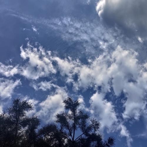 Photo #4536223