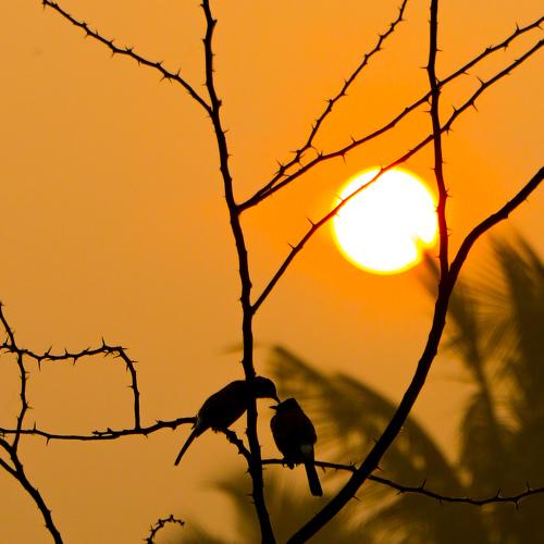 Photo #4536252