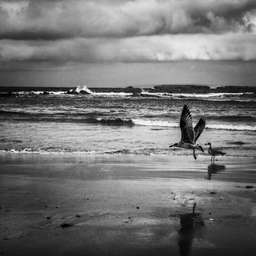 Photo #4536512