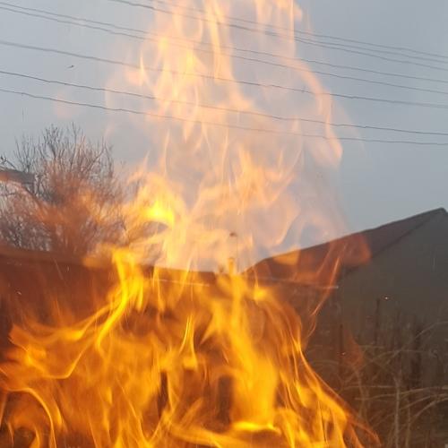 Photo #4536628