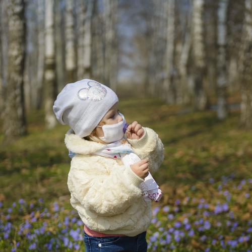 Photo #4536969
