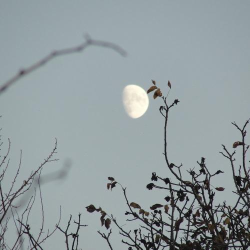 Photo #4537070