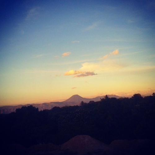 Photo #4537308