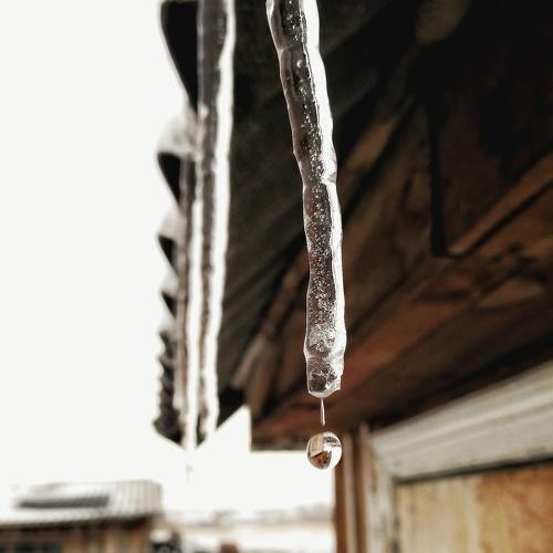 Photo #4537590