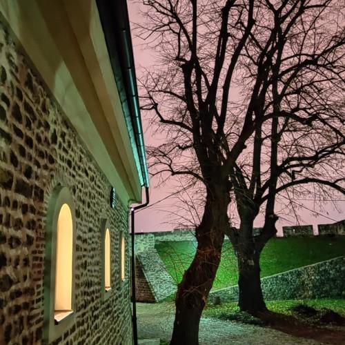 Photo #4537847