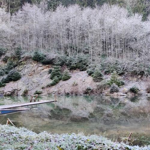 Photo #4537851