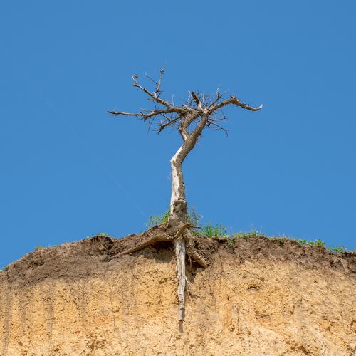Photo #4537998