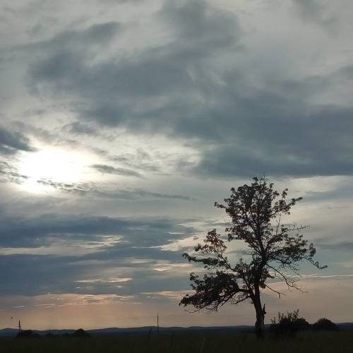 Photo #4538194