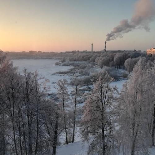 Морозное утро в зимнем парке