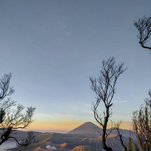 Photo #4538368