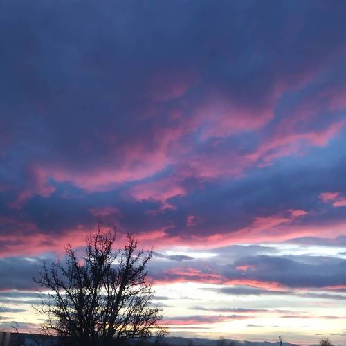 Photo #4538444