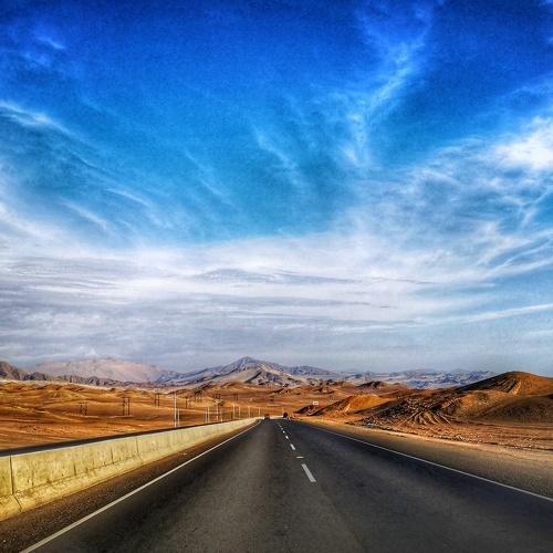 Photo #4538647