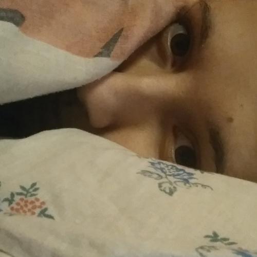 Photo #4538763