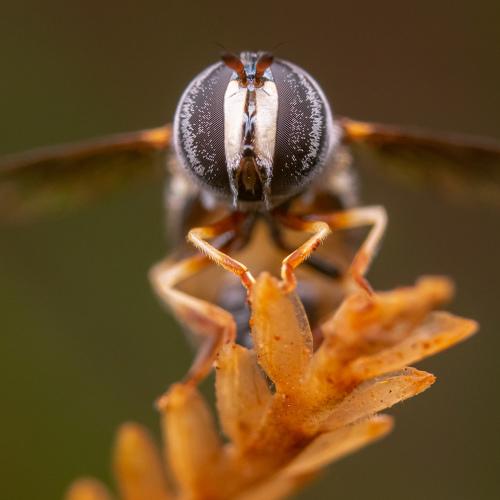 Photo #4538882