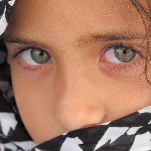 Photo #4539474