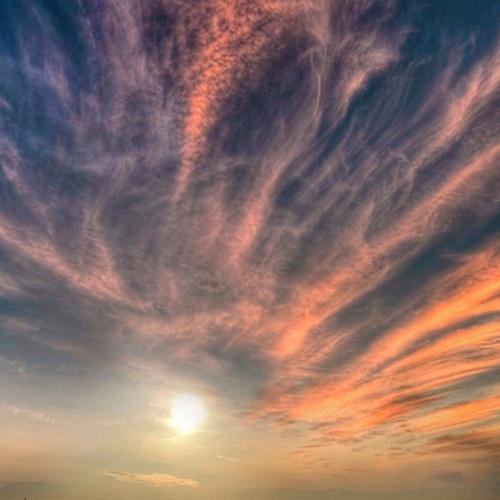 Photo #4539561