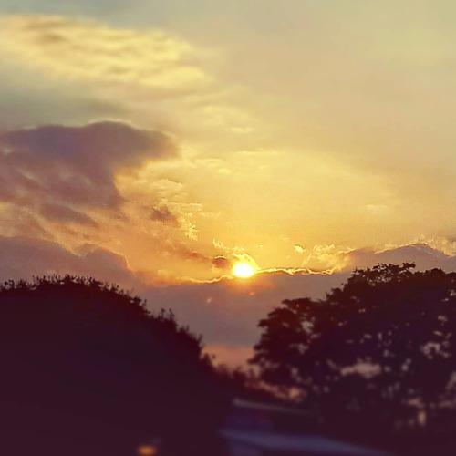 Photo #4539574