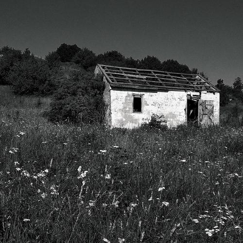 Photo #4539869