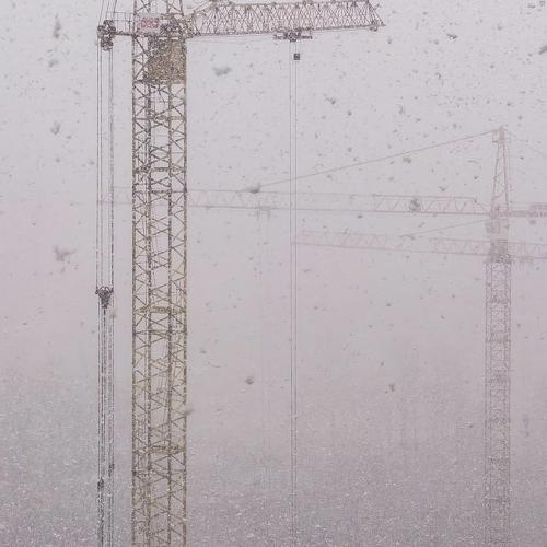 Photo #4539915