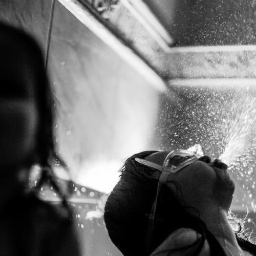 Photo #4540219