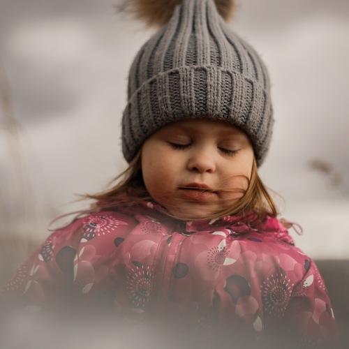 Photo #4540232