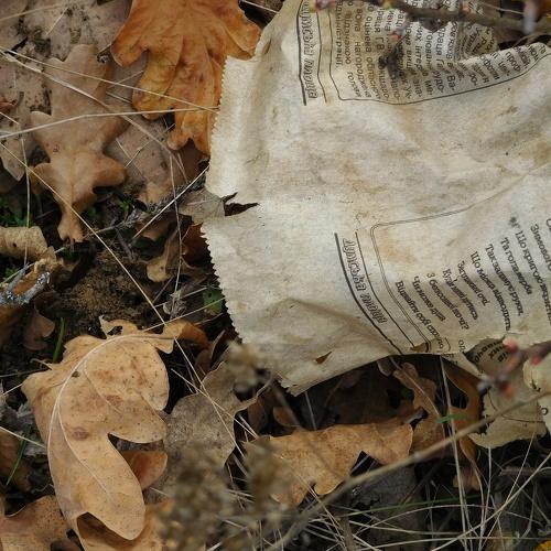 Photo #4540671