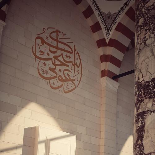 Photo #4540715
