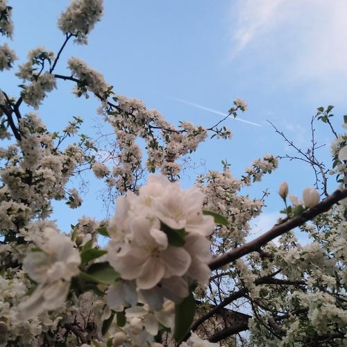 Photo #4540856