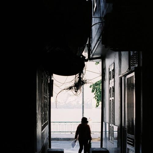 Photo #4540906