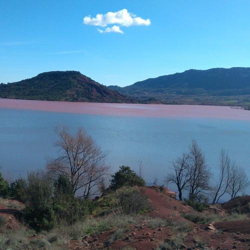 Photo #4540941