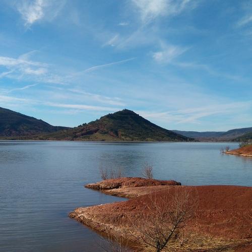 Photo #4540946