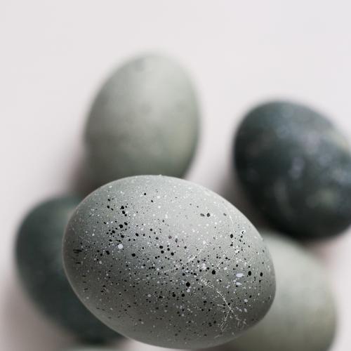 Photo #4541151