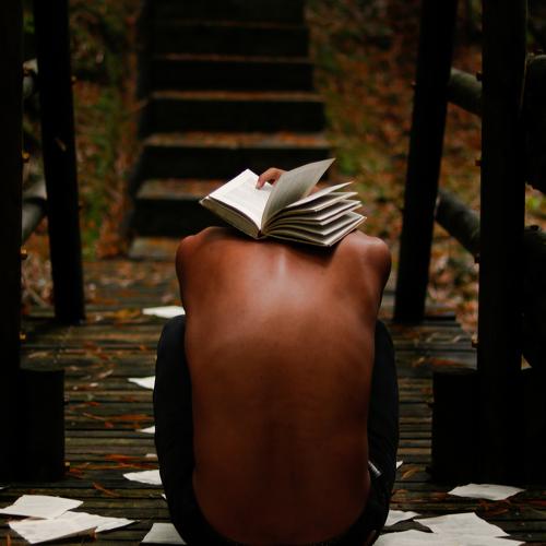 Photo #4541223