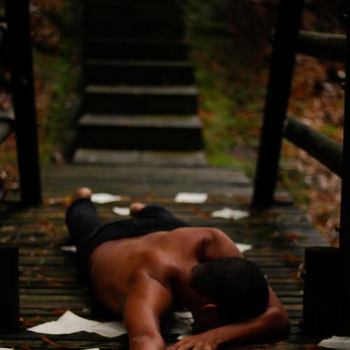 Photo #4541225