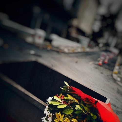 Photo #4541239