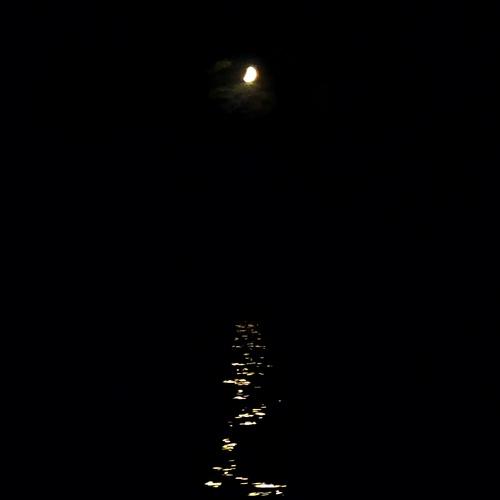 Photo #4541357