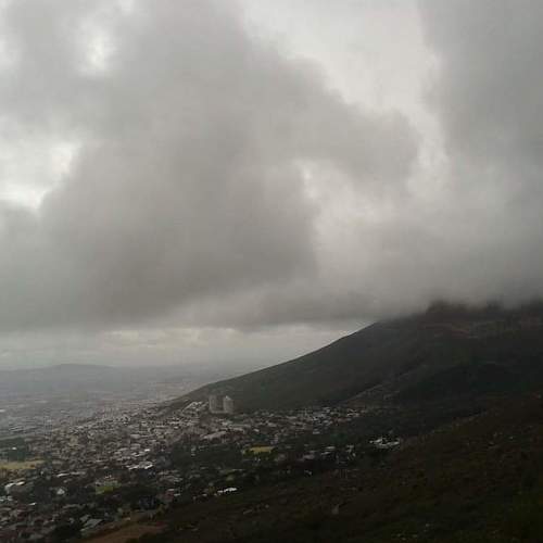 Photo #4541509
