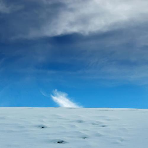 Photo #4541746