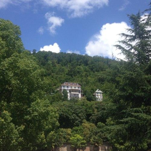 Photo #4541938