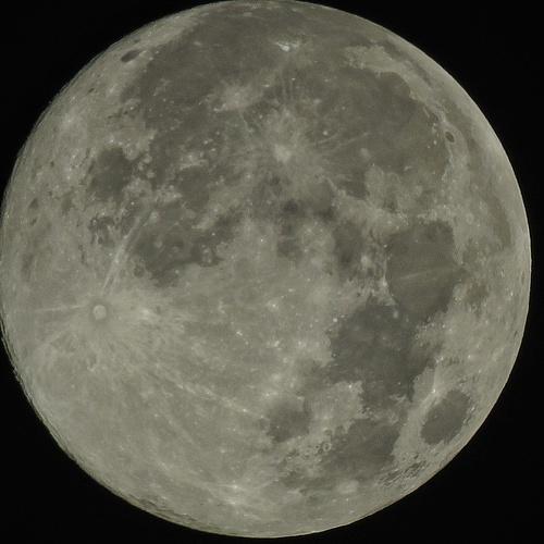 Photo #4542194