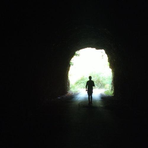 Photo #4542592
