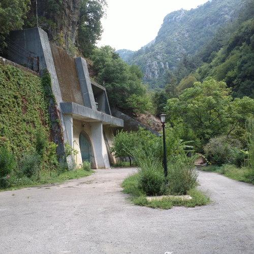 Photo #4542594