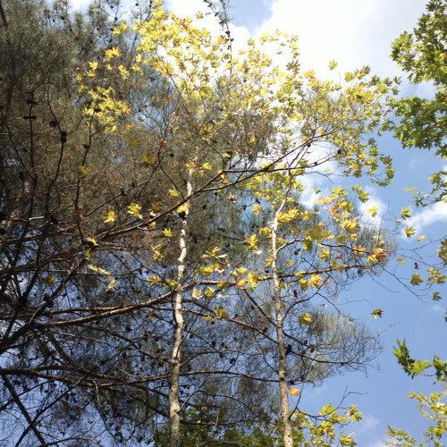 Photo #4542634