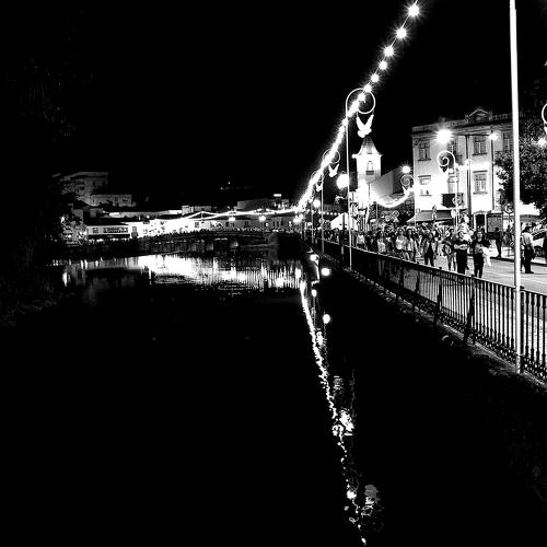Photo #4542821