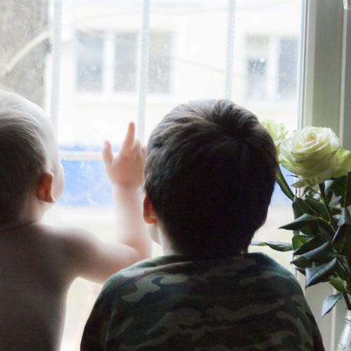 Photo #4543280